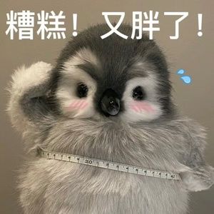 Meet your Posher, Sylvia